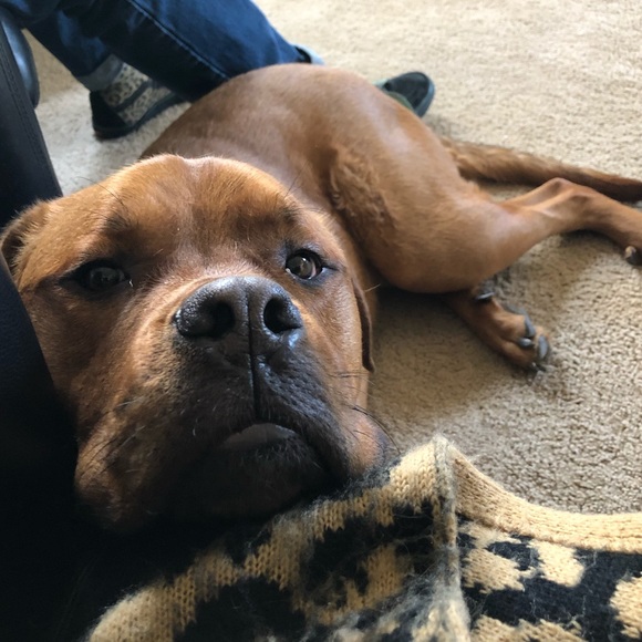 Meet your Posher, Erica - Picture 8 of 8